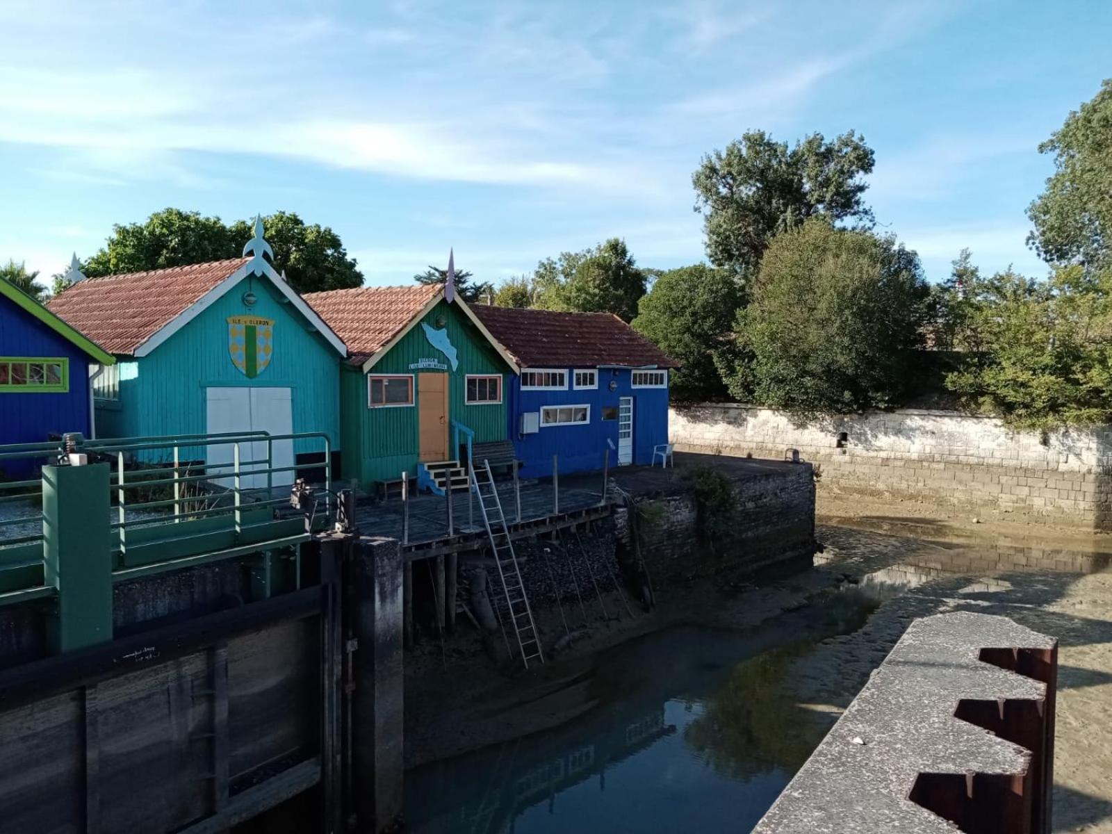 Maison De La Mare Aux Rainettes Location Vacances Standing Au Coeur Du Marais Poitevin - 3 Chambres - 6 Personnes La Celle-sous-Gouzon Esterno foto